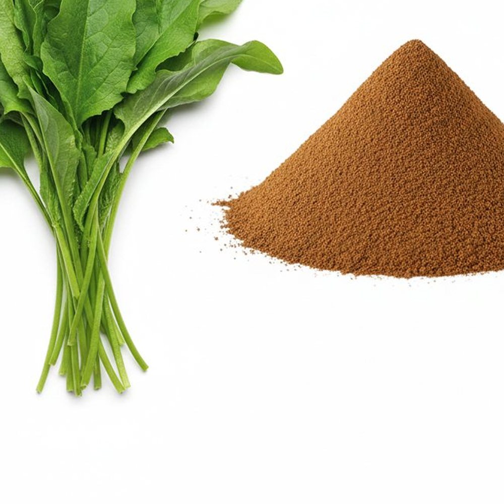 车前草提取物 Botanical Ingredient