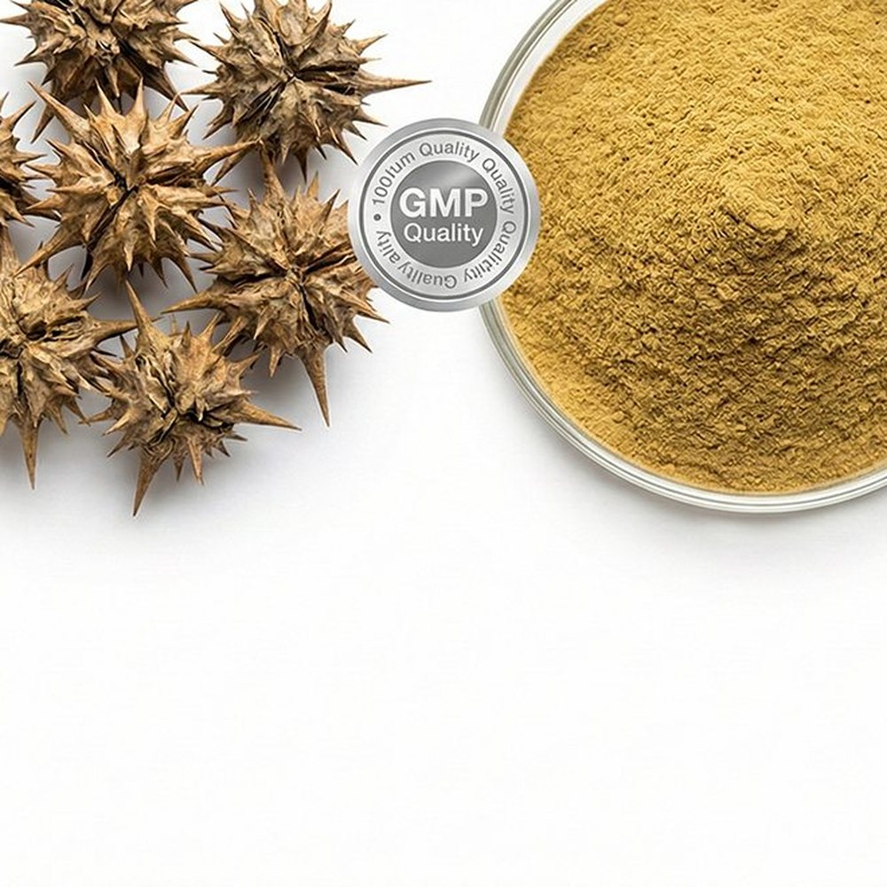 刺蒺藜提取物 Botanical Ingredient