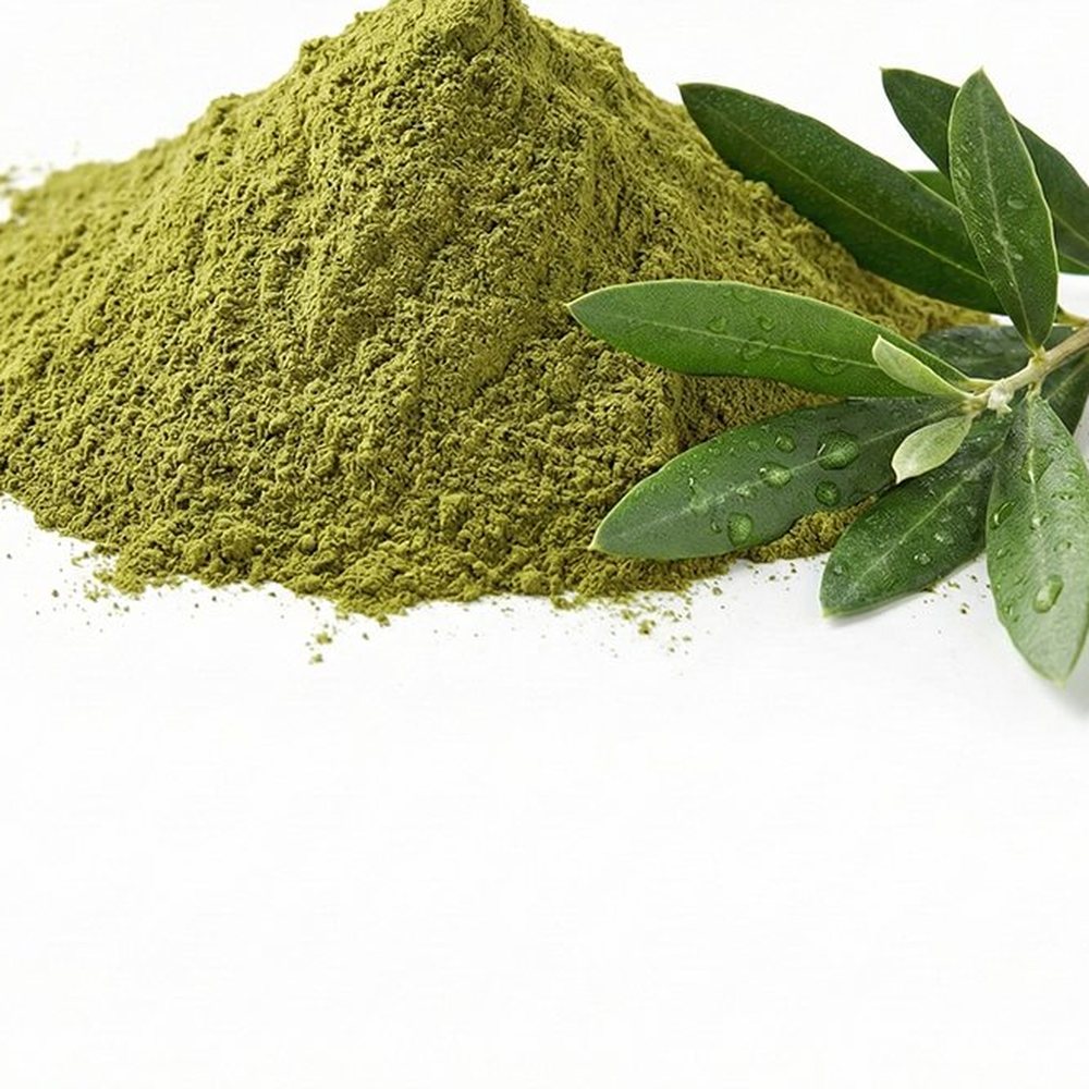 橄榄叶提取物 Botanical Ingredient