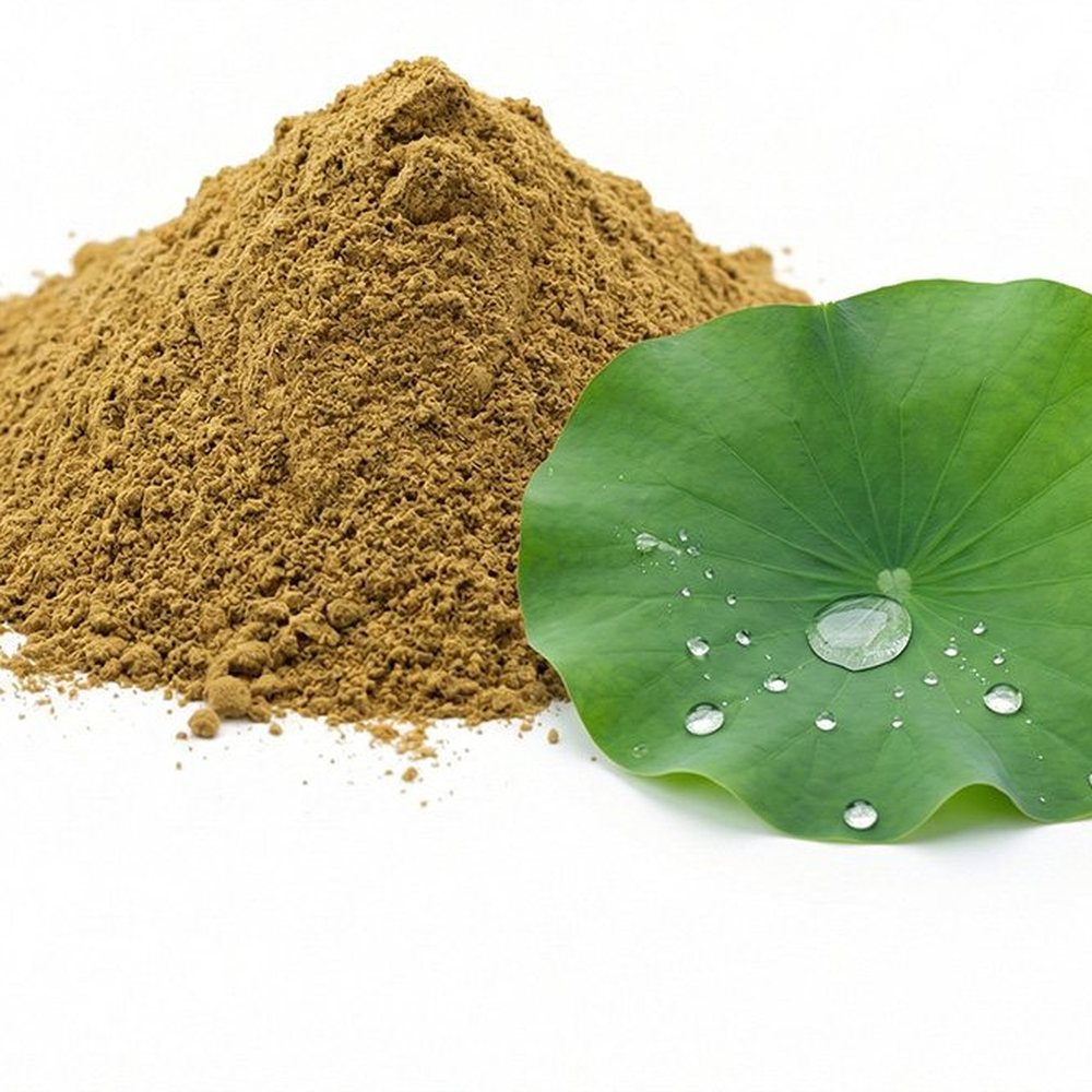 荷叶-提取物 Botanical Ingredient