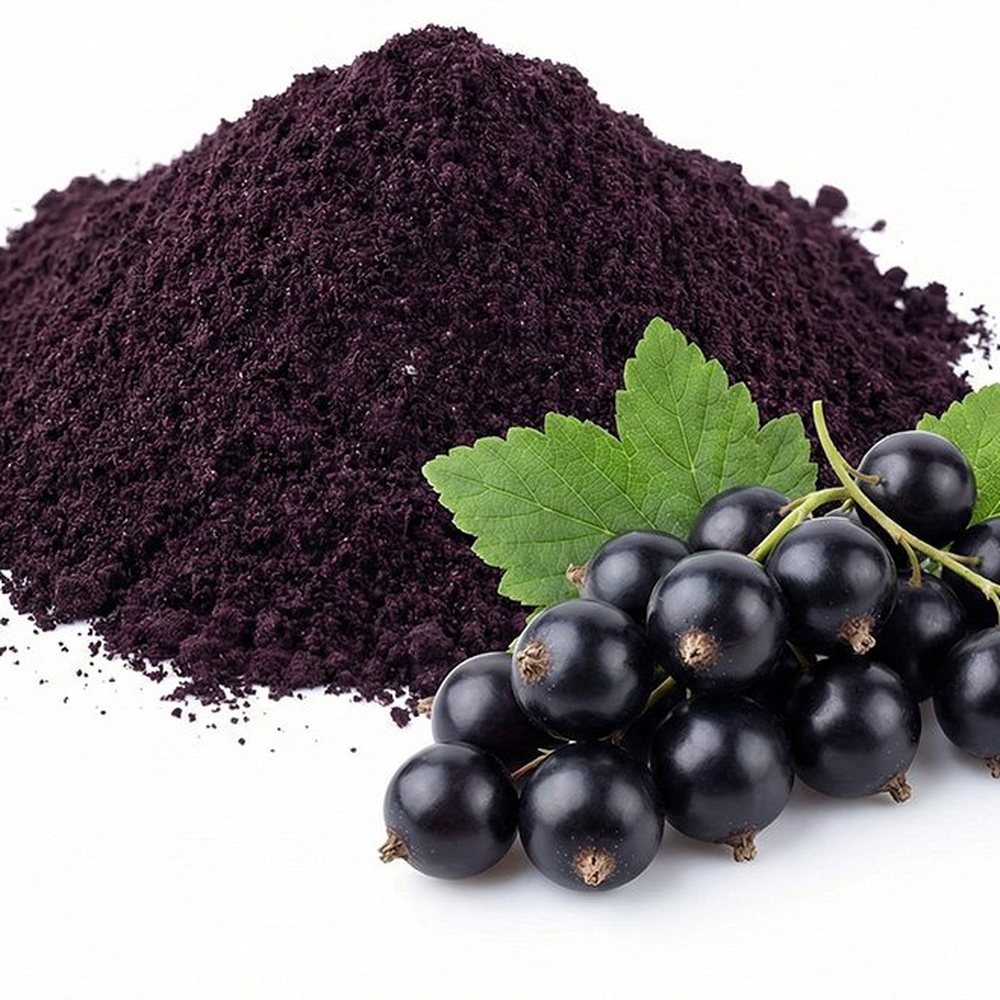 黑加仑粉 Botanical Ingredient