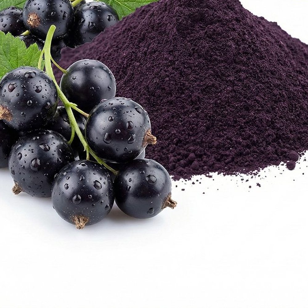 黑加仑提取物 Botanical Ingredient