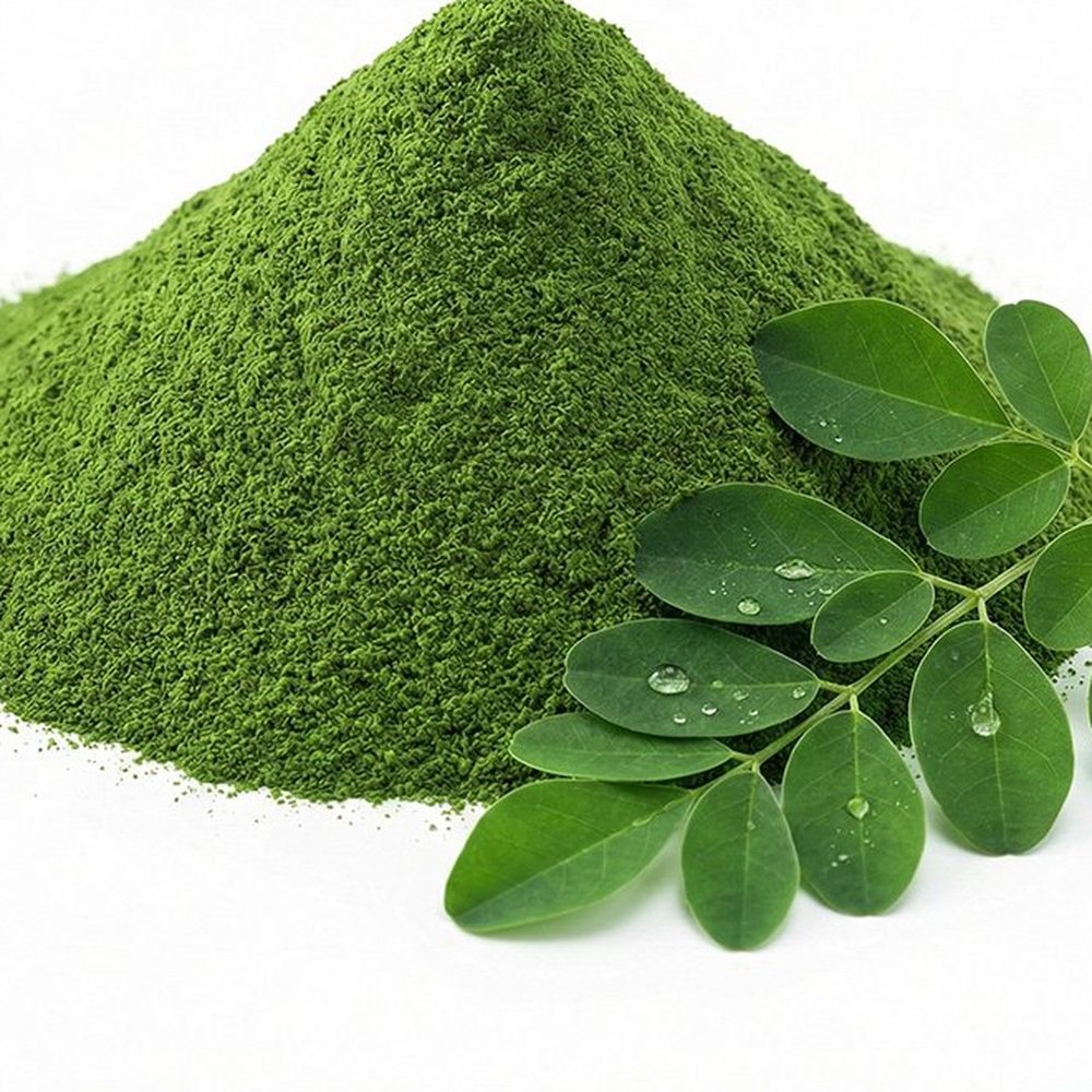 辣木叶粉 Botanical Ingredient