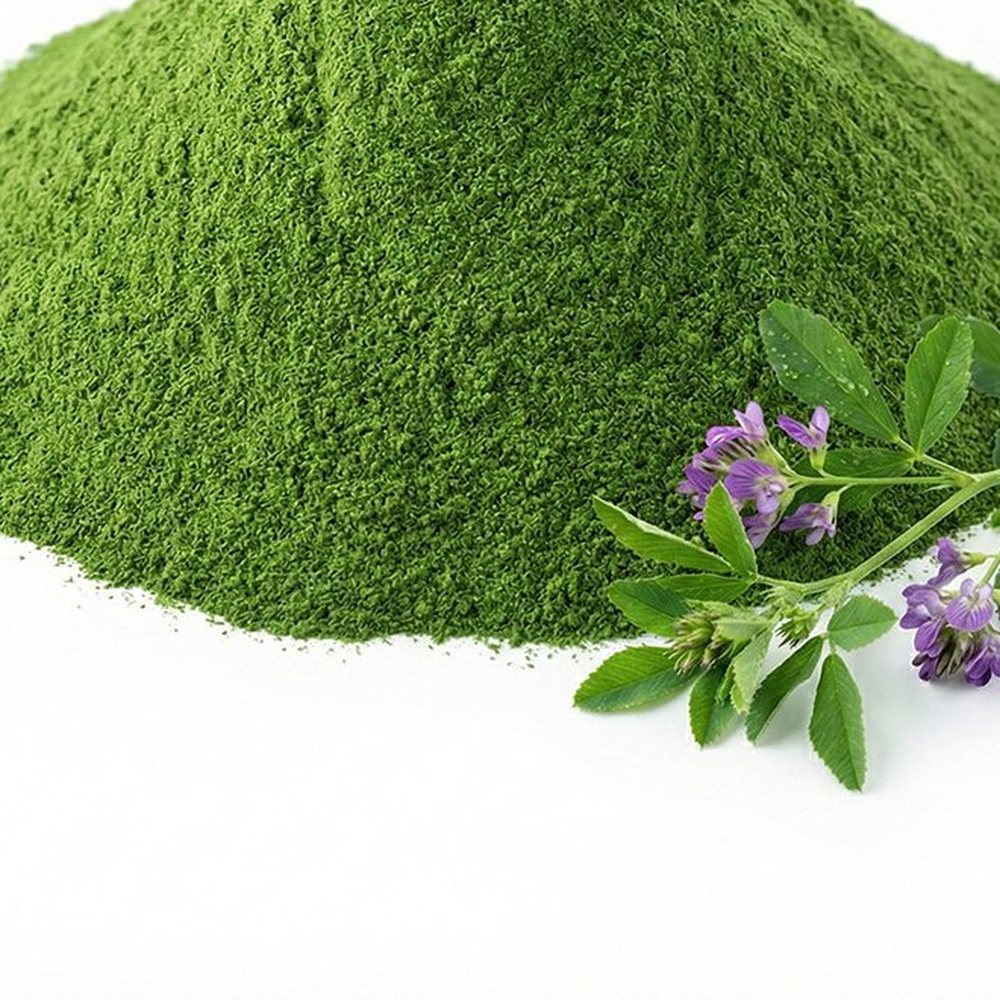 苜蓿粉 Botanical Ingredient