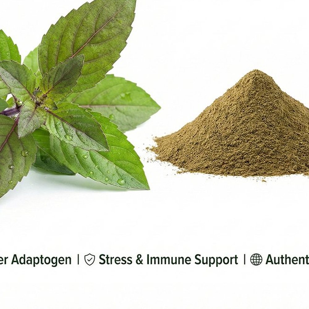 圣罗勒提取物 Botanical Ingredient