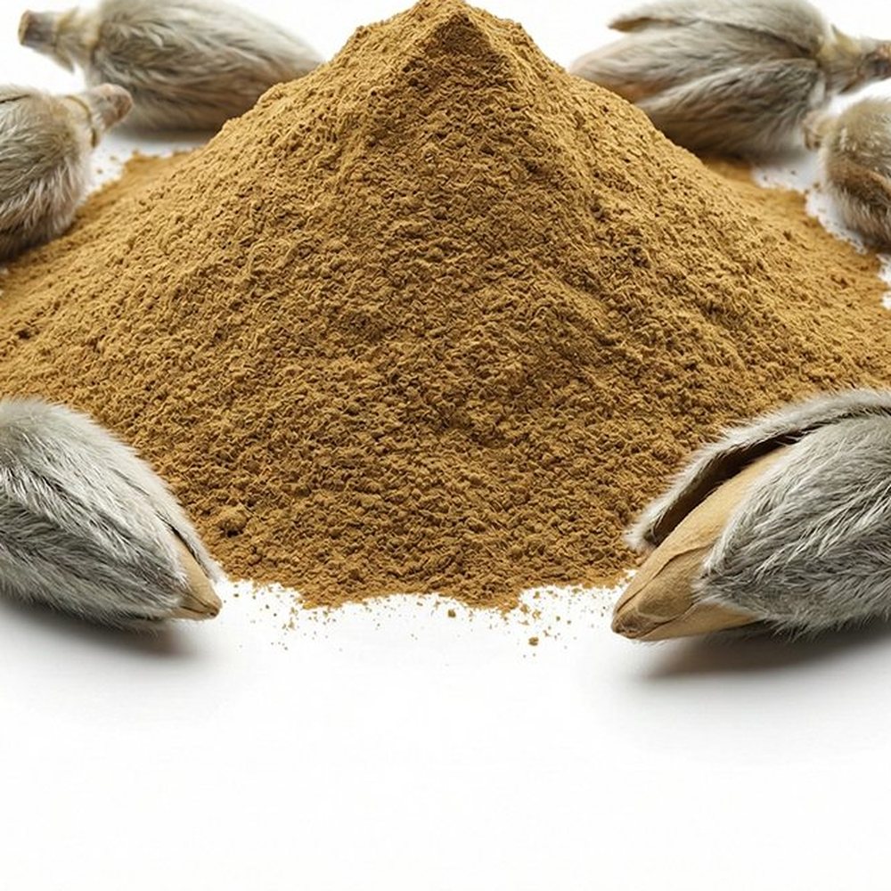 辛夷提取物 Botanical Ingredient