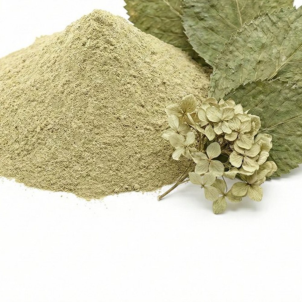 绣球花叶提取物 Botanical Ingredient