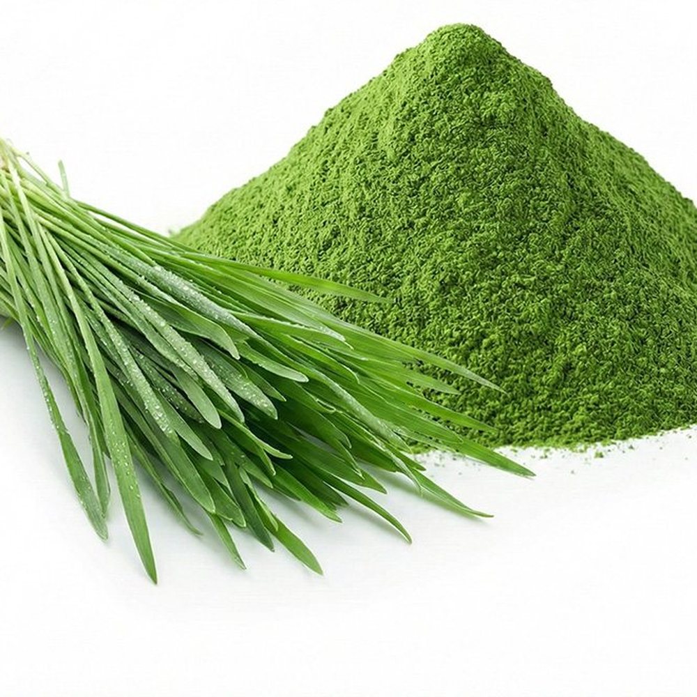 燕麦草粉 Botanical Ingredient