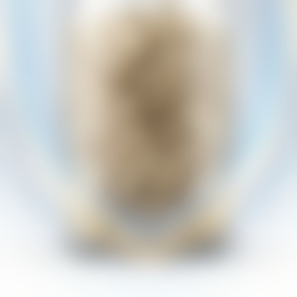 Nutrient Formula Reference 039
