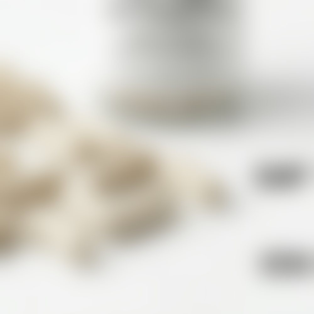 Probiotic Formula Reference