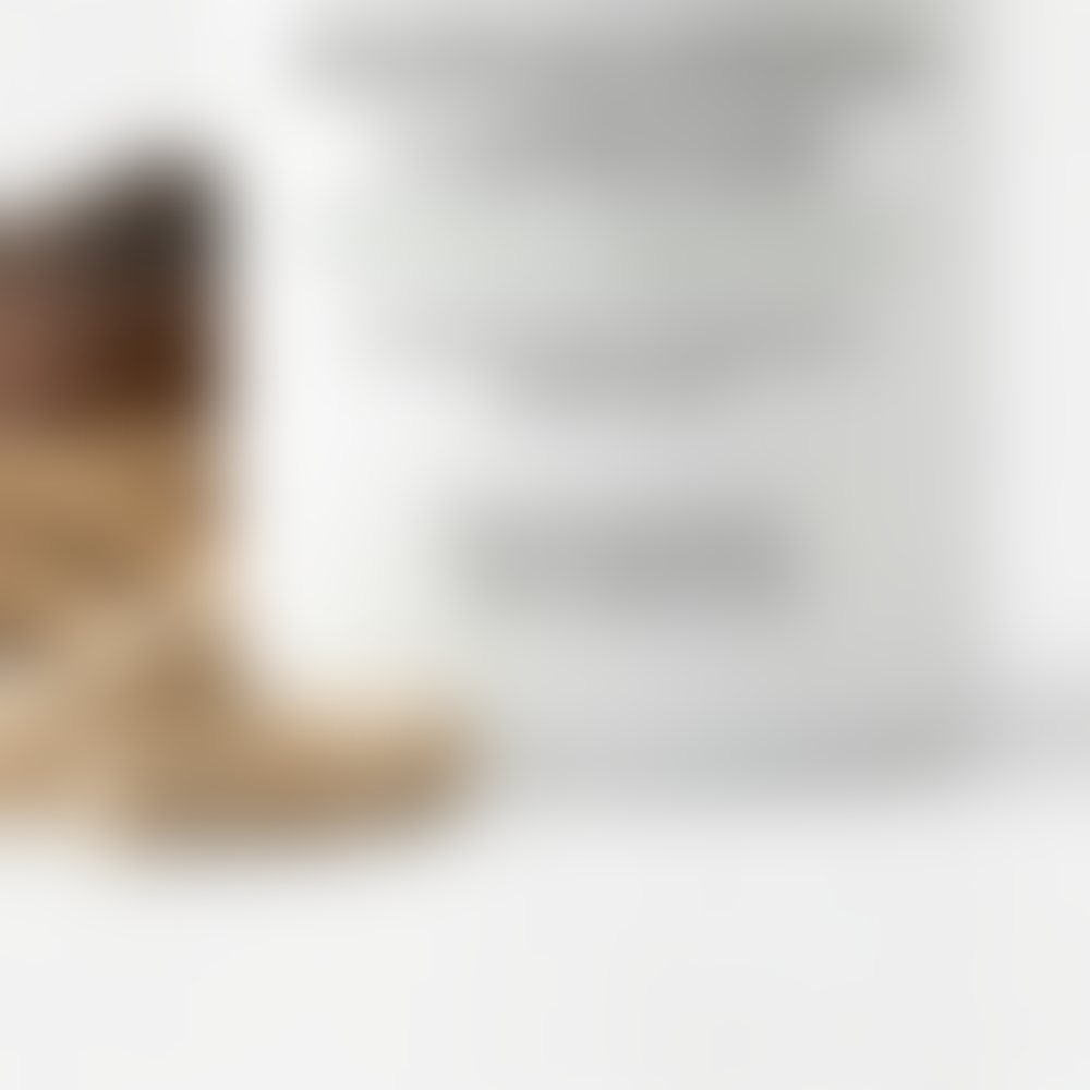 Ashwagandha Capsule Reference product image